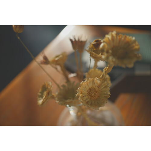 Sony A7C II Mirrorless - Image 14