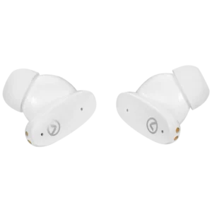 Earphones