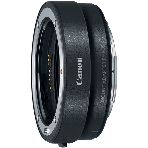 Canon EOS R7 + RF-S 18-150mm F3.5-6.3 IS STM Lens - Image 8