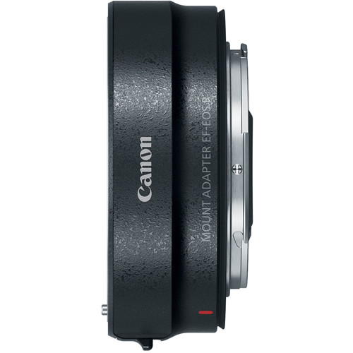 Canon EOS R7 + RF-S 18-150mm F3.5-6.3 IS STM Lens - Image 9