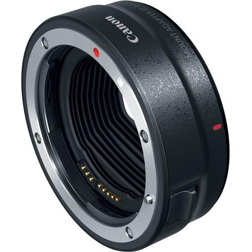 Canon EOS R7 + RF-S 18-150mm F3.5-6.3 IS STM Lens - Image 10