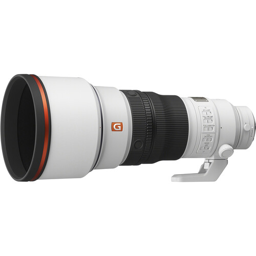 Sony FE 300mm f/2.8 GM OSS Lens - Image 32