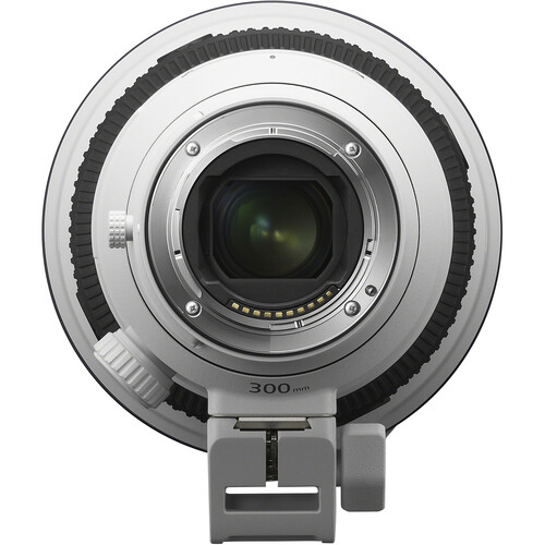 Sony FE 300mm f/2.8 GM OSS Lens - Image 27