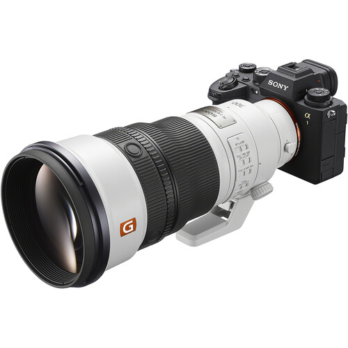 Sony FE 300mm f/2.8 GM OSS Lens - Image 23