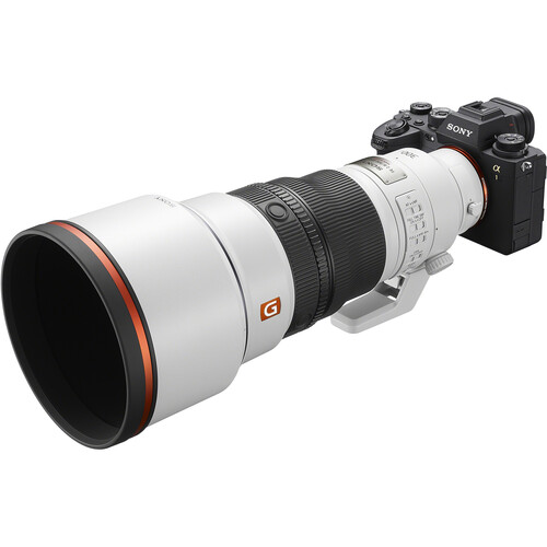 Sony FE 300mm f/2.8 GM OSS Lens - Image 21