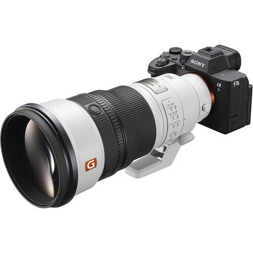 Sony FE 300mm f/2.8 GM OSS Lens - Image 20