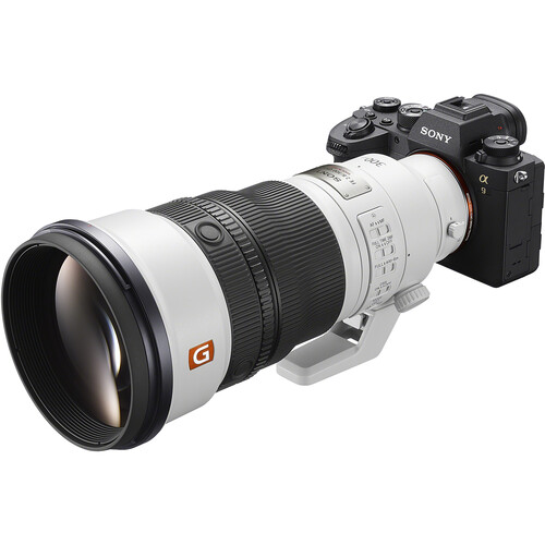Sony FE 300mm f/2.8 GM OSS Lens - Image 19