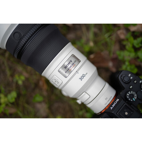 Sony FE 300mm f/2.8 GM OSS Lens - Image 14