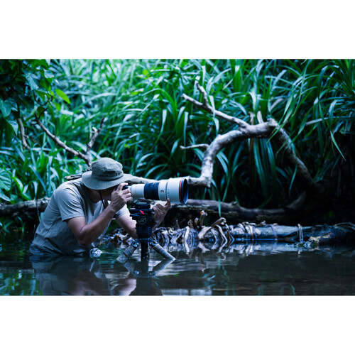 Sony FE 300mm f/2.8 GM OSS Lens - Image 6