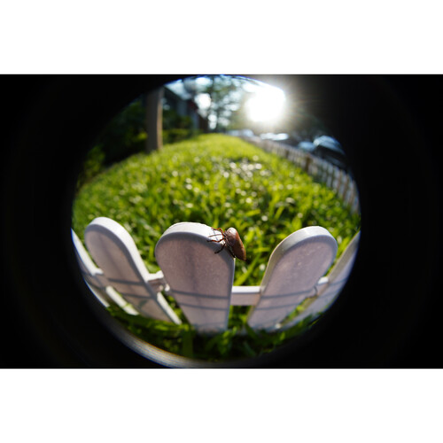 TTArtisan 7.5mm f/2 Fisheye Lens (Leica L) - Image 37