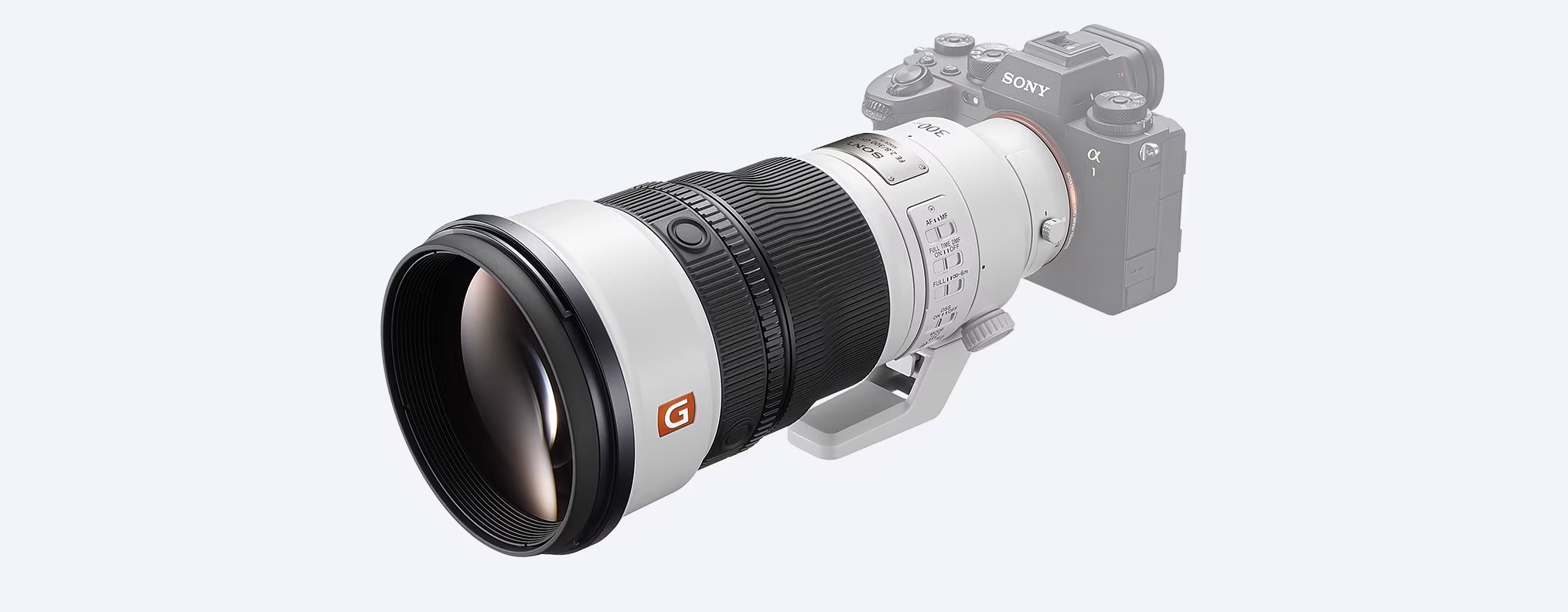 Sony FE 300mm f/2.8 GM OSS Lens - Image 31