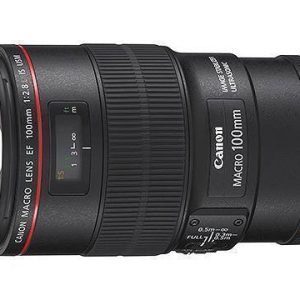 Canon RF 100mm f/2.8L Macro IS USM Lens