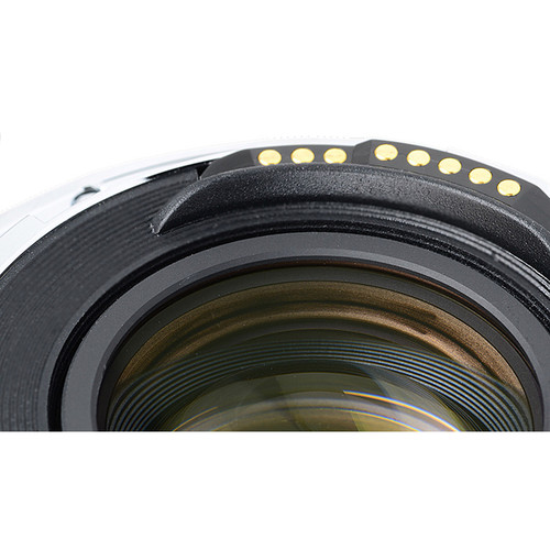 Kenko Teleplus HD DGX 2X Teleconverter Nikon F - Image 7