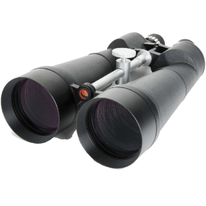 Celestron Skymaster 25x100