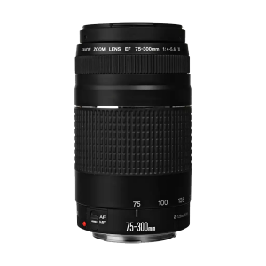 Canon EF 75-300mm f/4-5.6 III